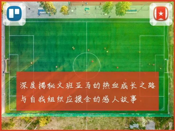 深度揭秘文班亚马的热血成长之路与自我组织应援会的感人故事