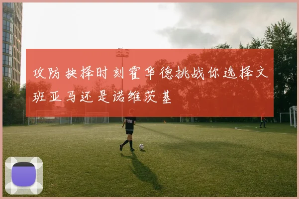 攻防抉择时刻霍华德挑战你选择文班亚马还是诺维茨基